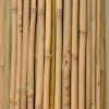 tyczki bambusowe -ogrodowe