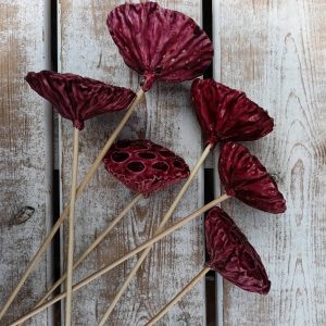 Kwiat Lotosu woskowany kolor czerwony na patyku 8-10