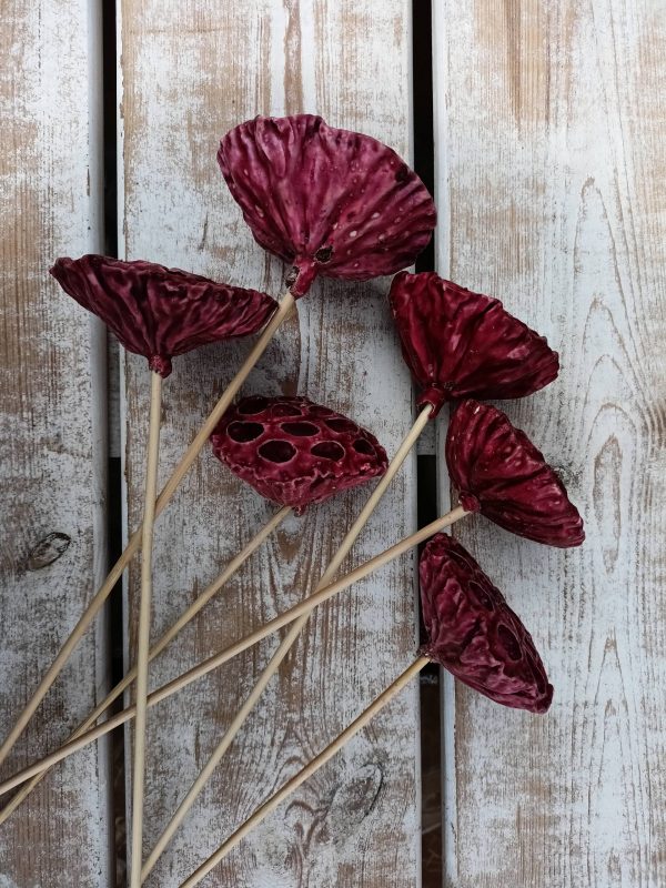 Kwiat Lotosu woskowany kolor czerwony na patyku 8-10
